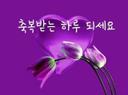 행복을  모아   사랑으로