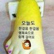 자유로운카구216
