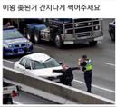 빠른바다꿩30