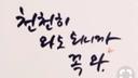 반듯한비쿠냐16