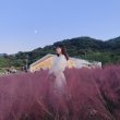 향기로운몽구스156