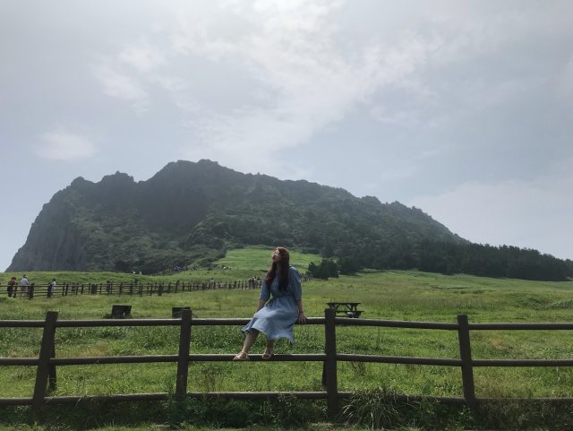 파란쏙독새84