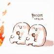 밝은백로291