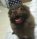 보랏빛개구리115