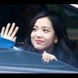 유능한할미새200