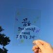 견실한흑로179