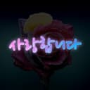 단정한오징어296