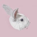 소중한푸들181