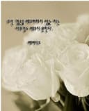 푸른지어새234