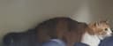 팔팔한호돌이183
