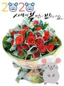 강력한쥐233