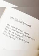 자비로운청가뢰235