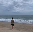 팔팔한박각시287