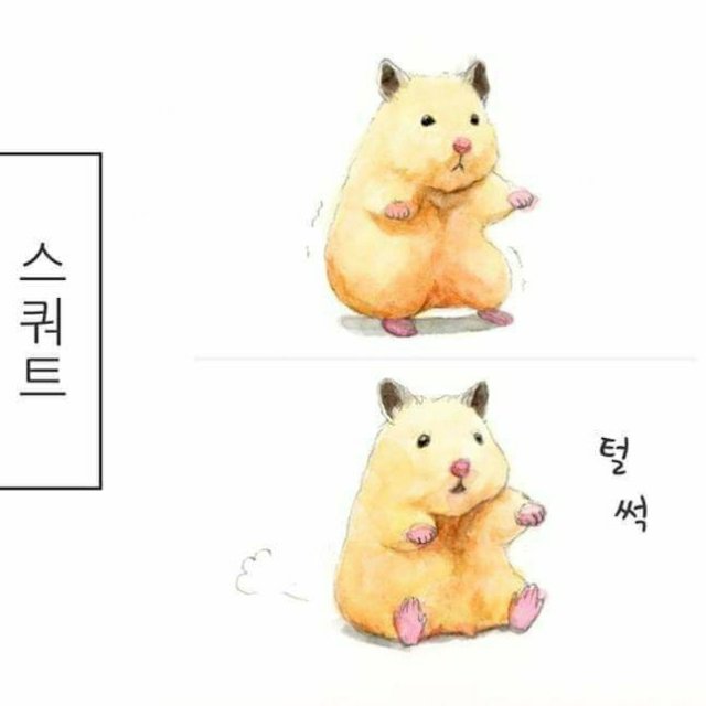 똘똘한도마뱀62