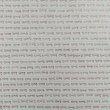 듬직한담비116