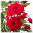 눈부신고양이156