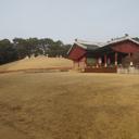 모던한레오파드249