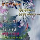 기민한보석새273