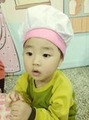 고상한등에295