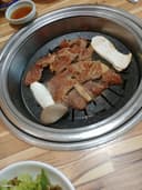 온화한바다사자204