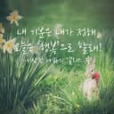 청초한느시21