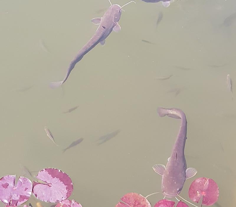 2번 째 사진