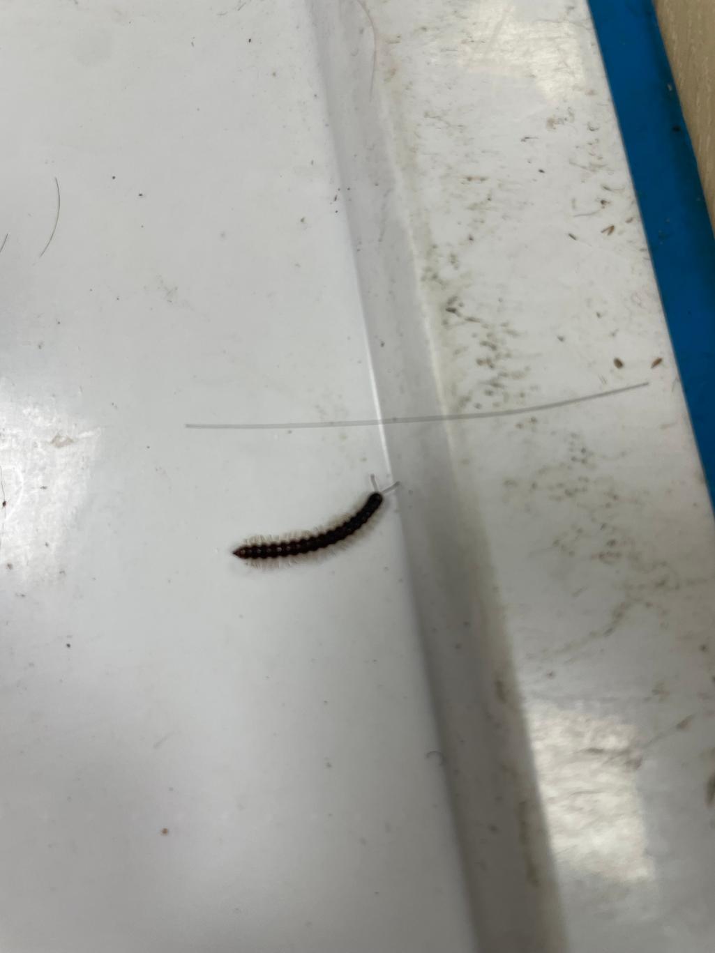 2번 째 사진