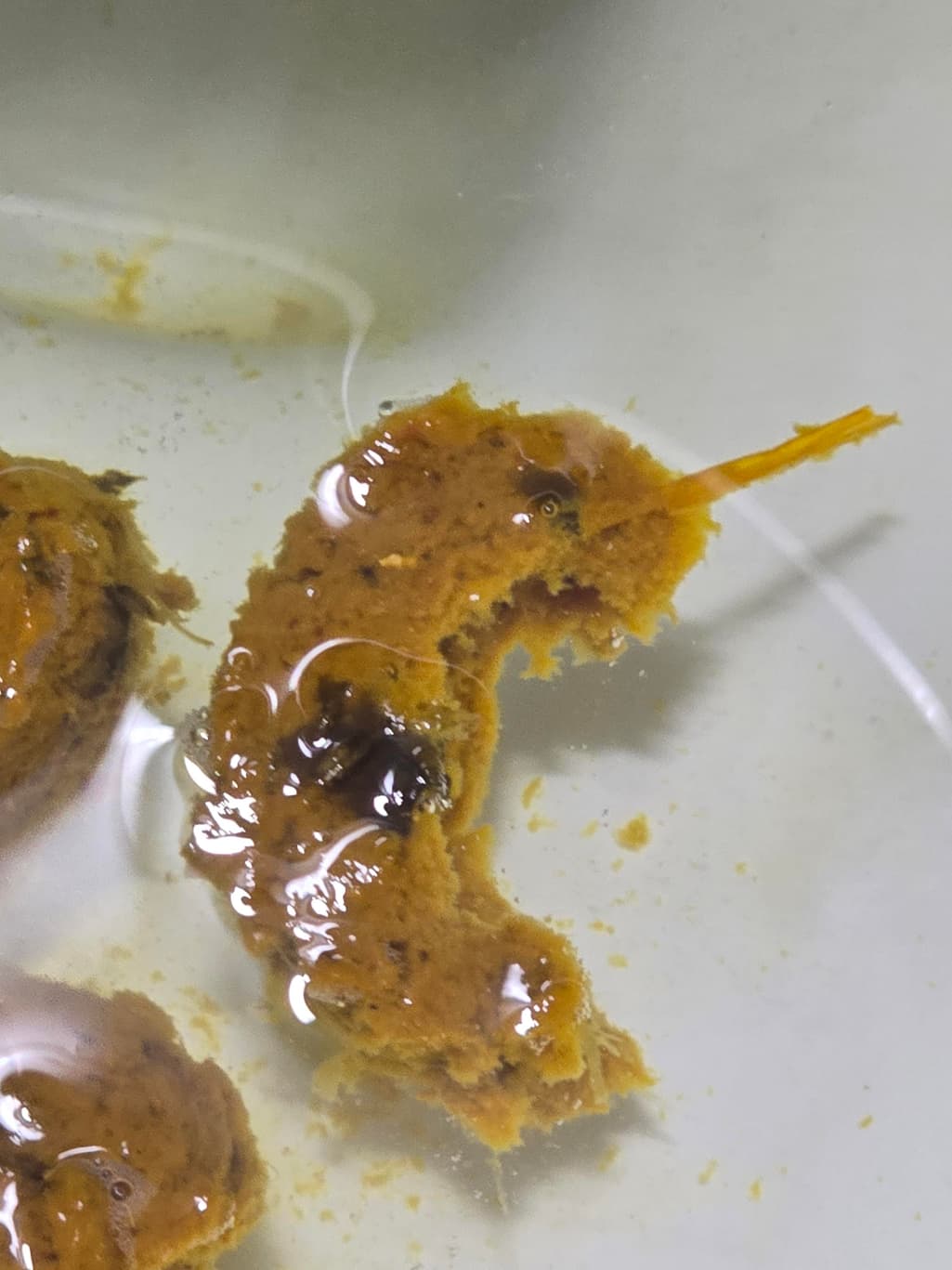 2번 째 사진