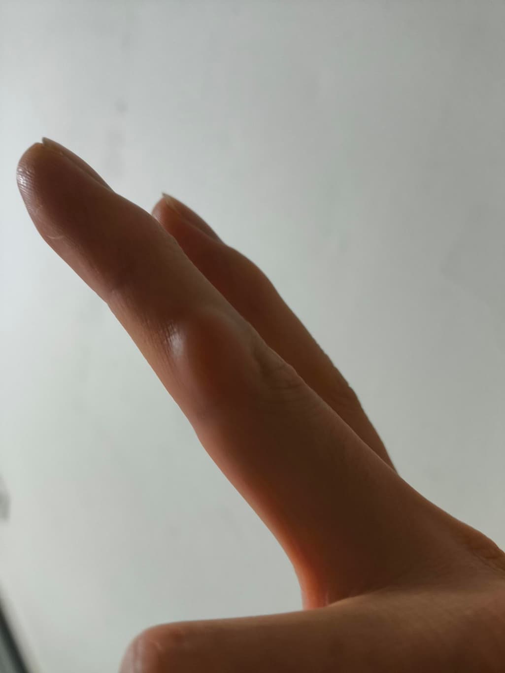 2번 째 사진