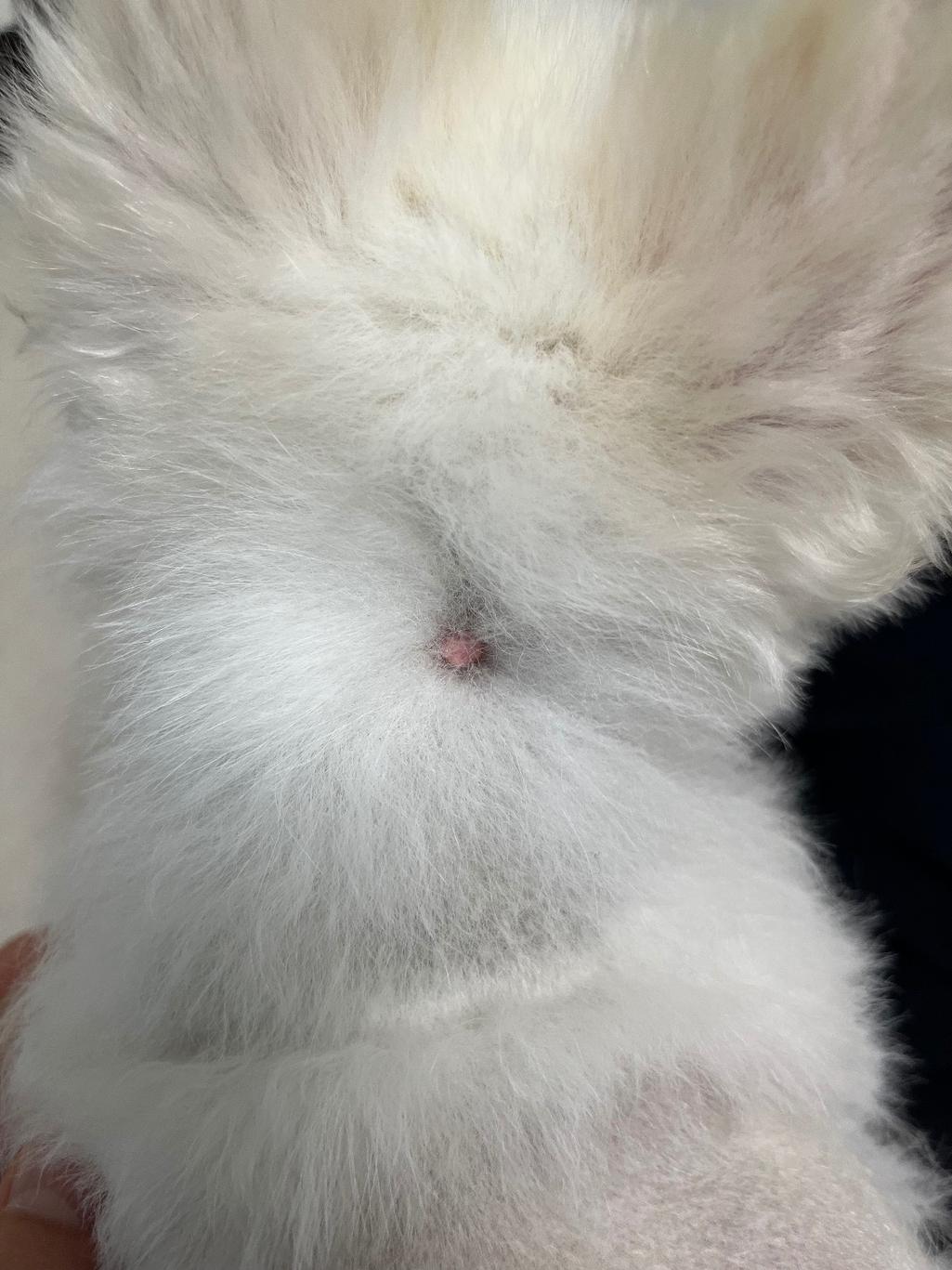 3번 째 사진