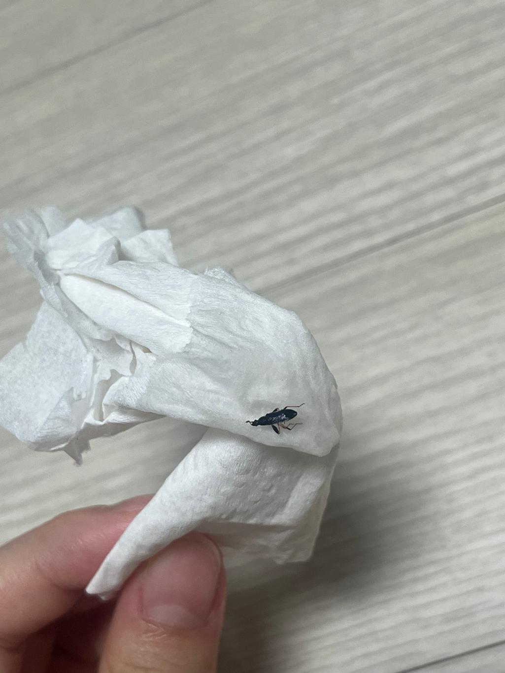 3번 째 사진