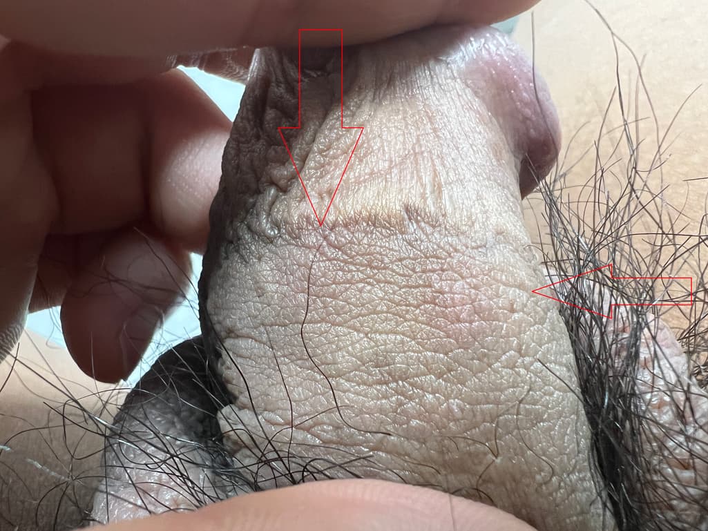5번 째 사진
