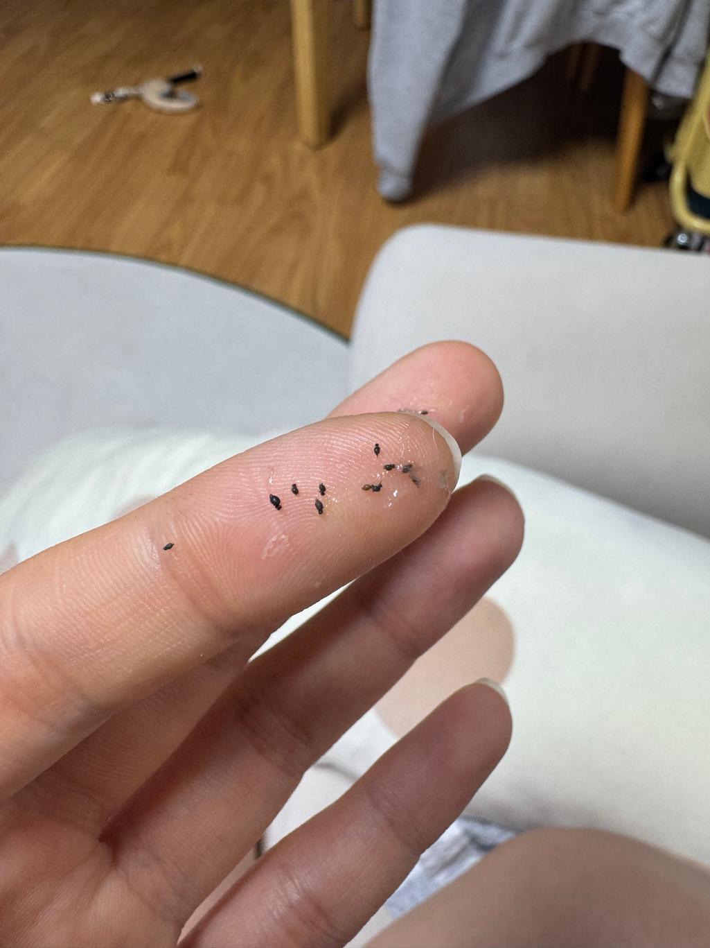 2번 째 사진