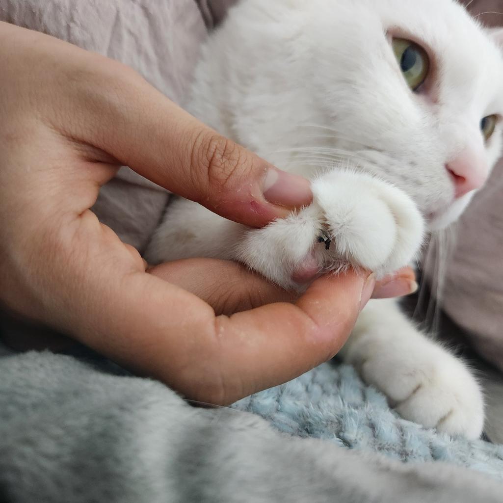 2번 째 사진
