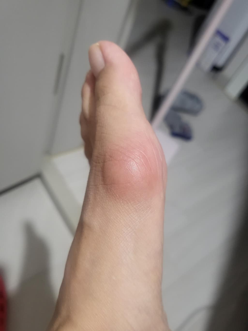 2번 째 사진