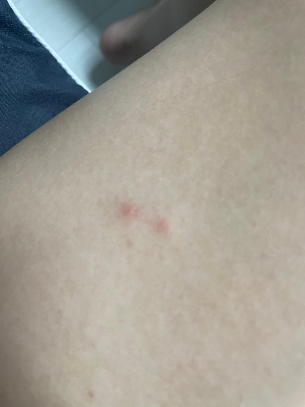 4번 째 사진