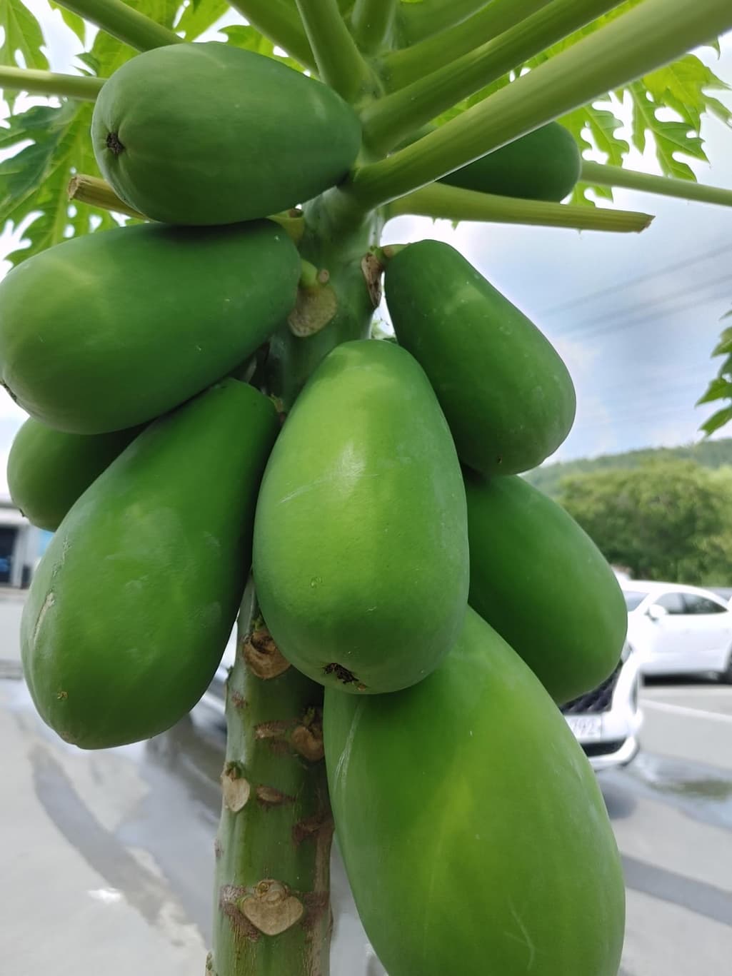 8번 째 사진