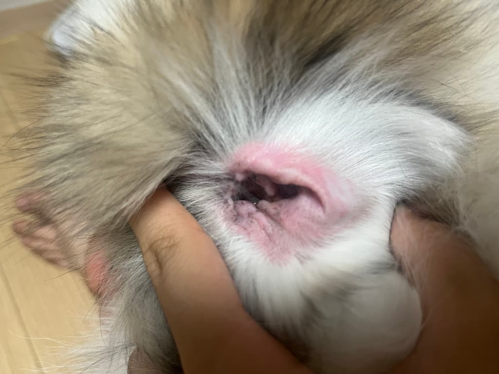 1번 째 사진