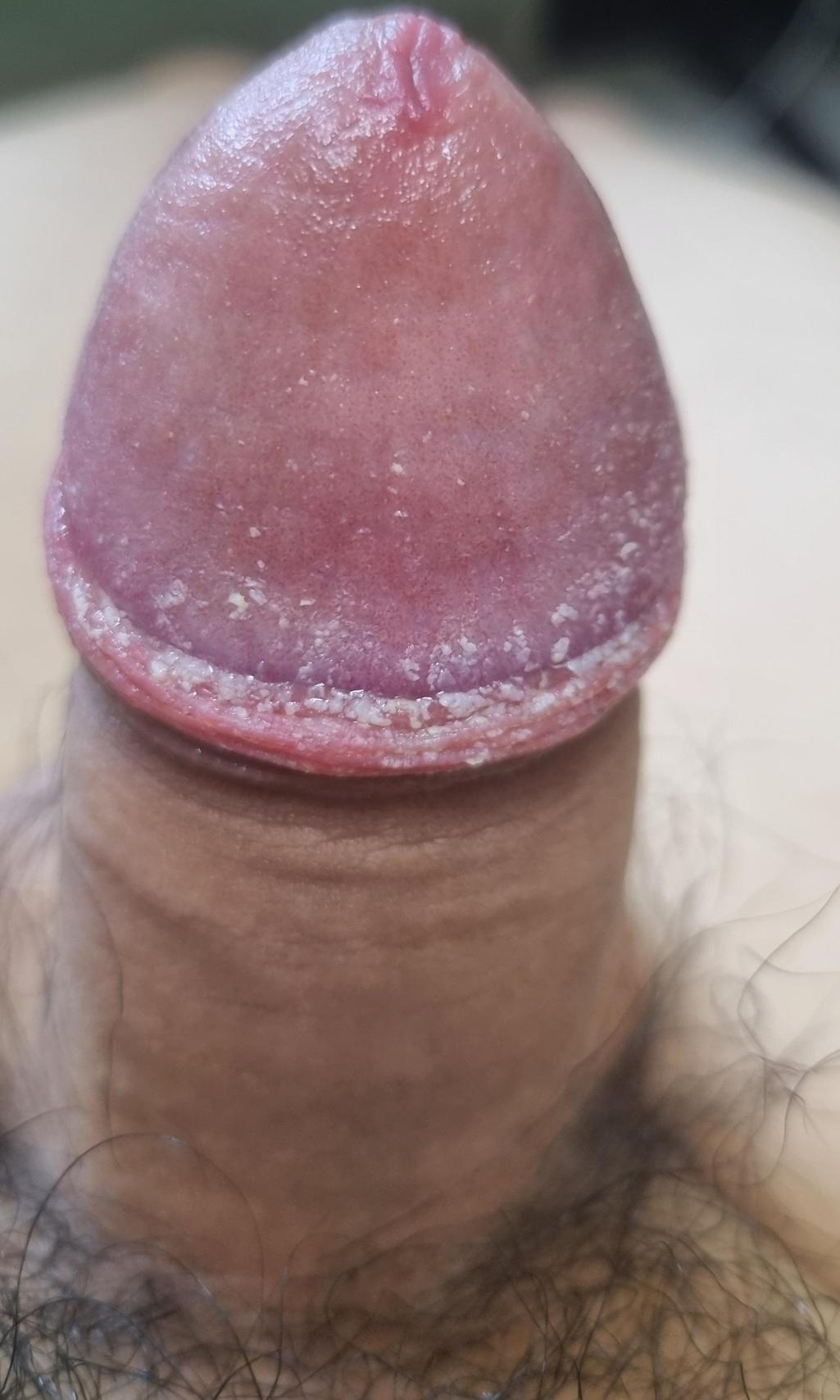 3번 째 사진
