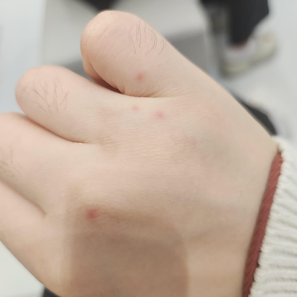 1번 째 사진