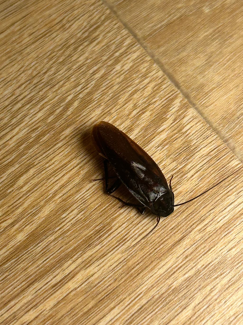 1번 째 사진