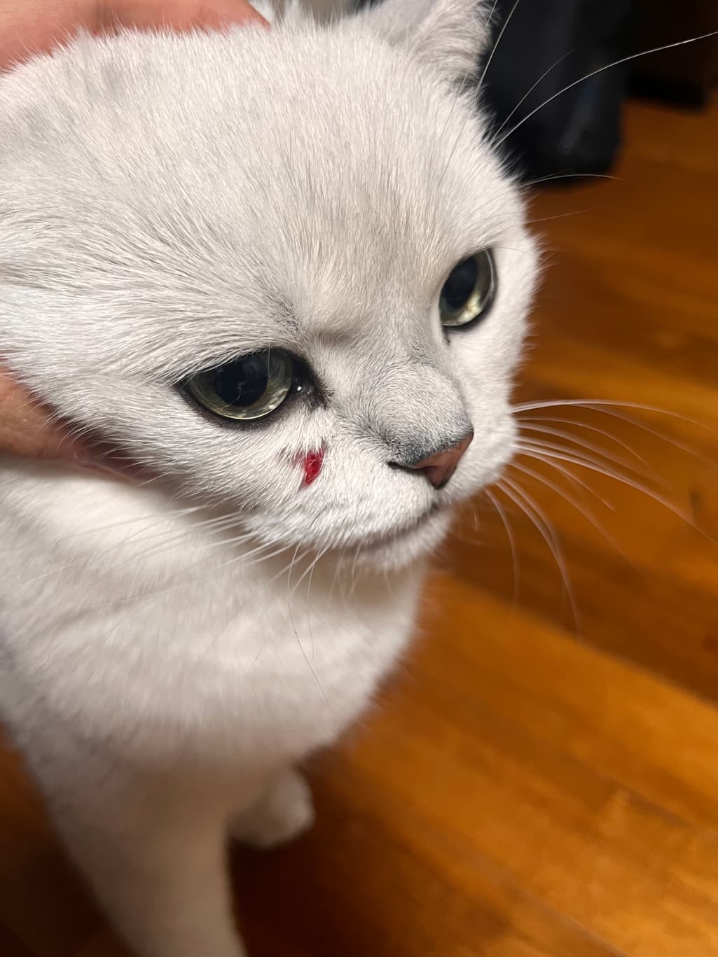 1번 째 사진