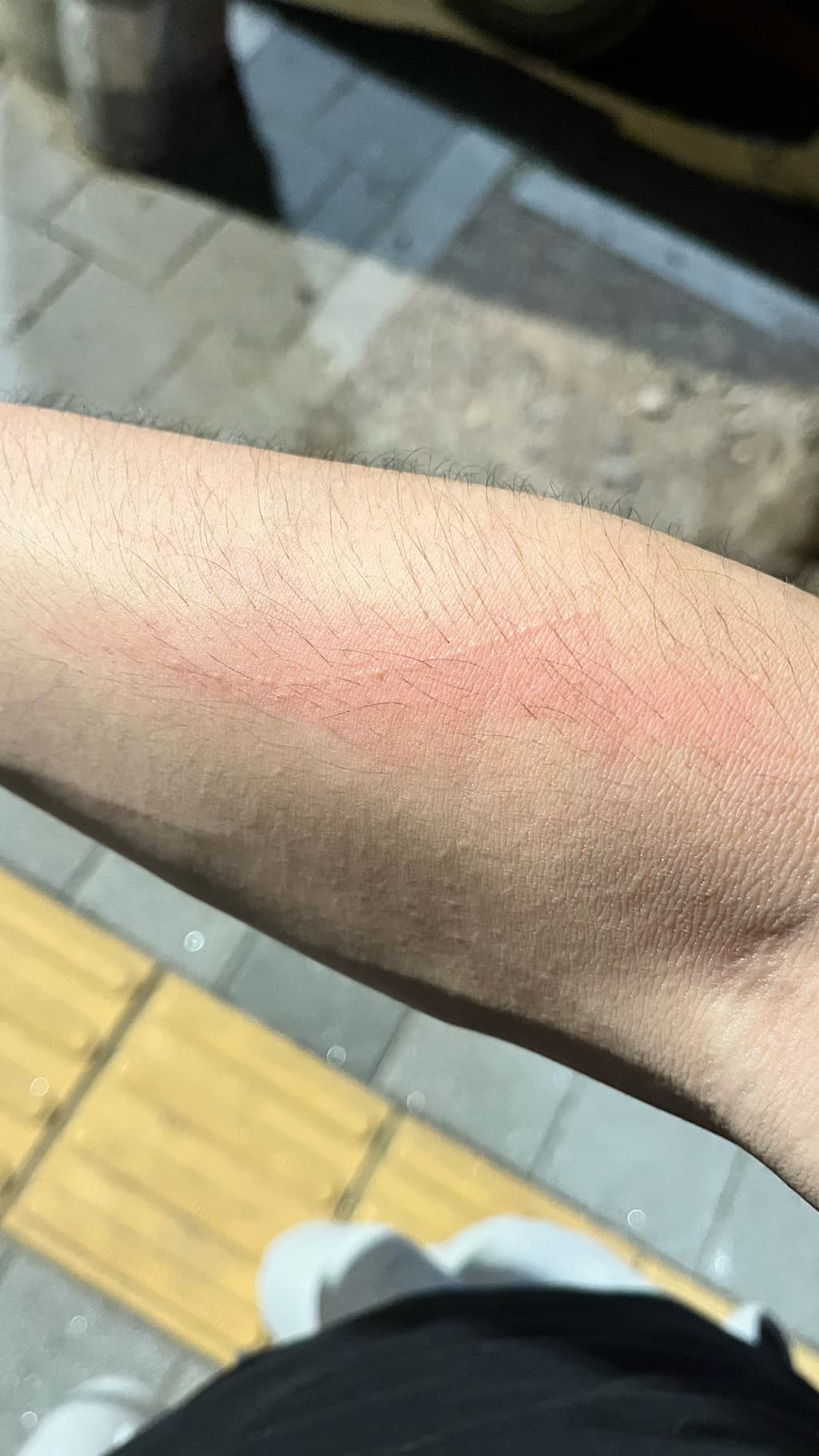 2번 째 사진