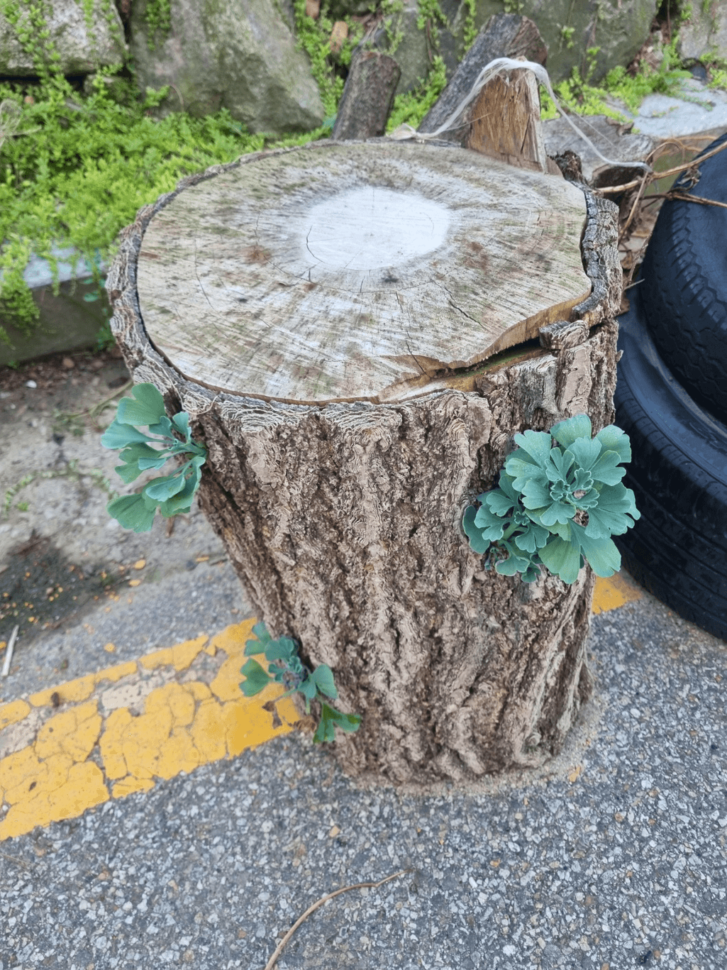 1번 째 사진