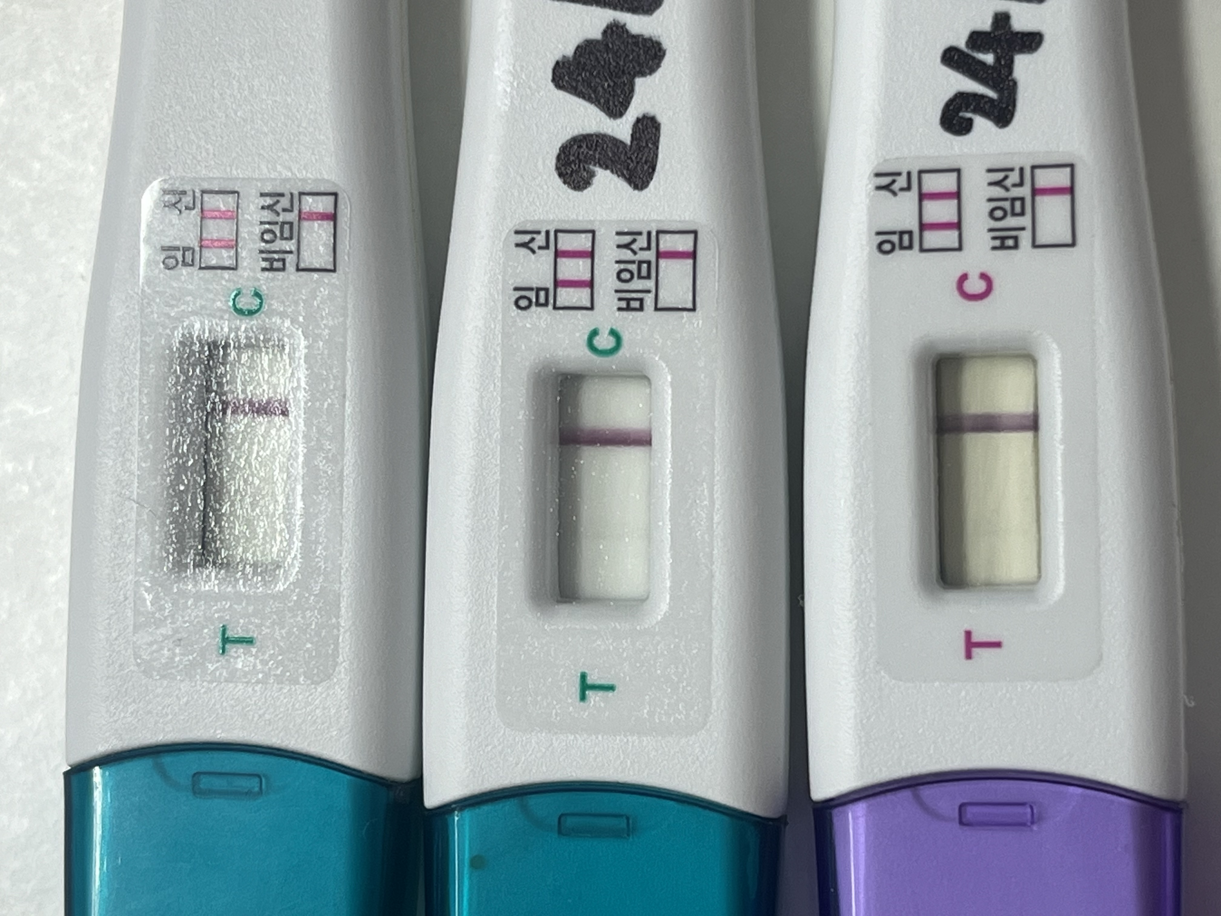 1번 째 사진