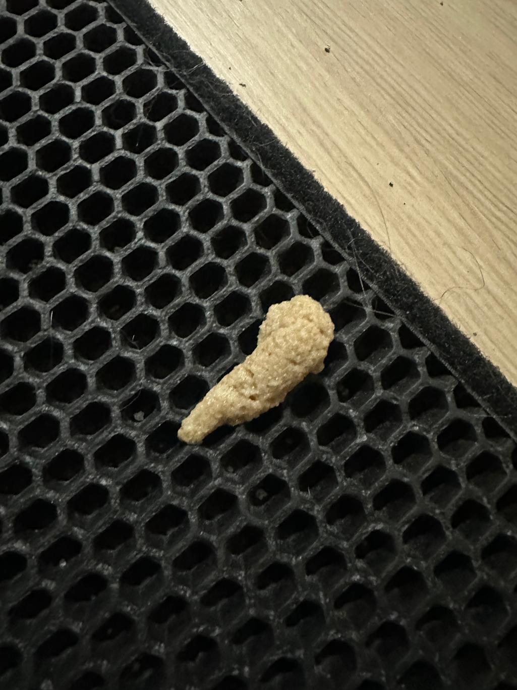 2번 째 사진