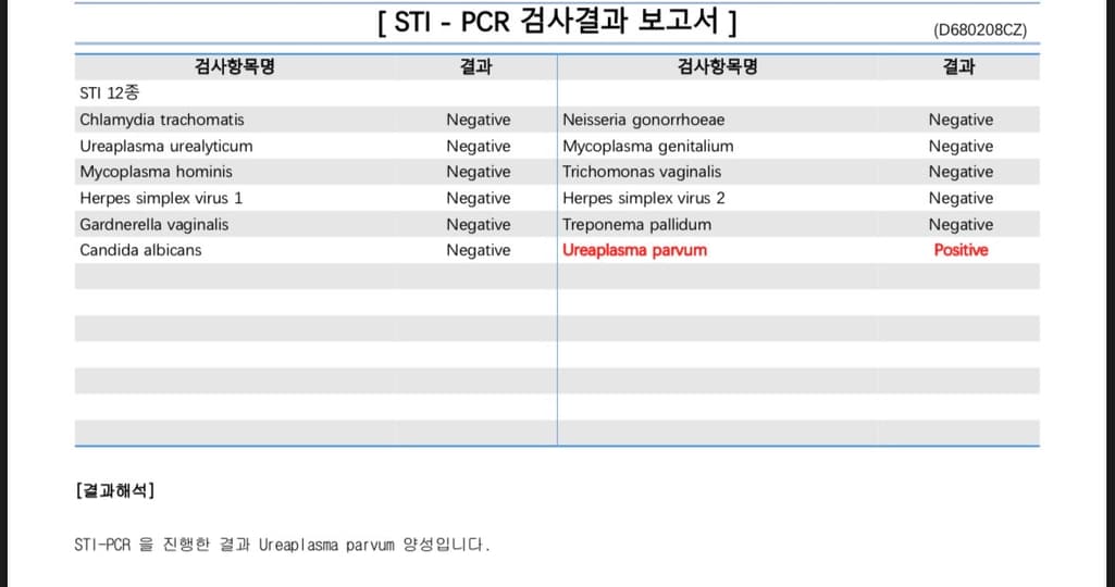 2번 째 사진