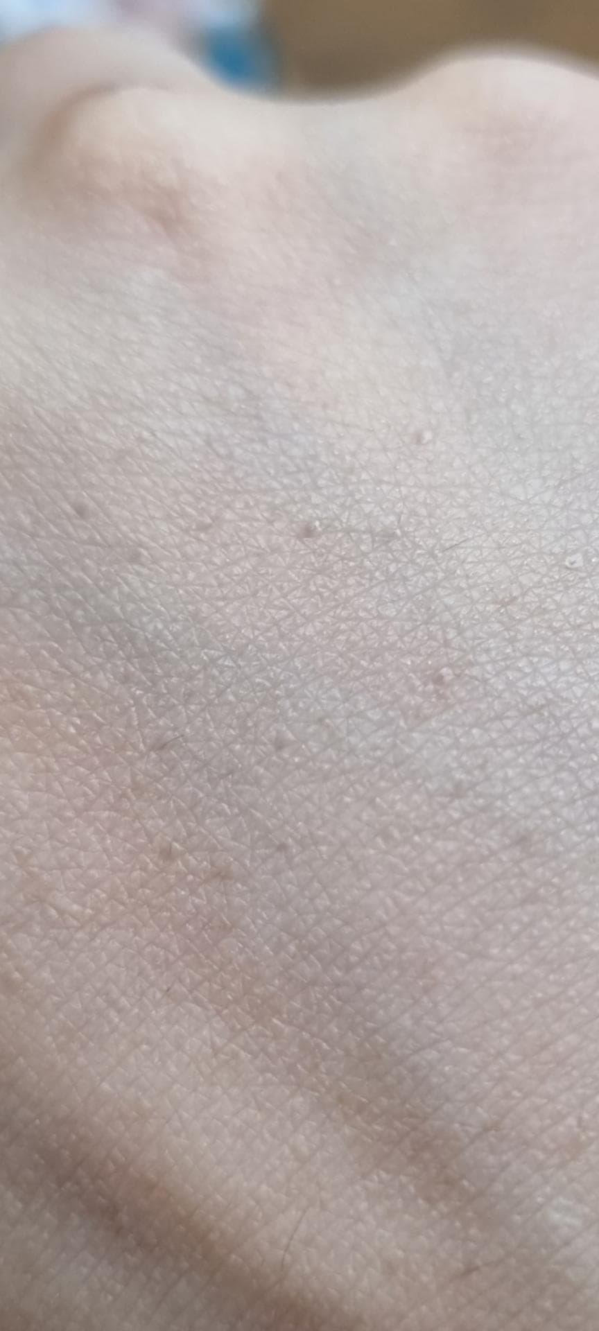 2번 째 사진