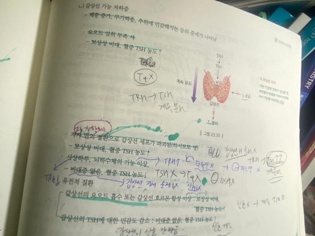 2번 째 사진
