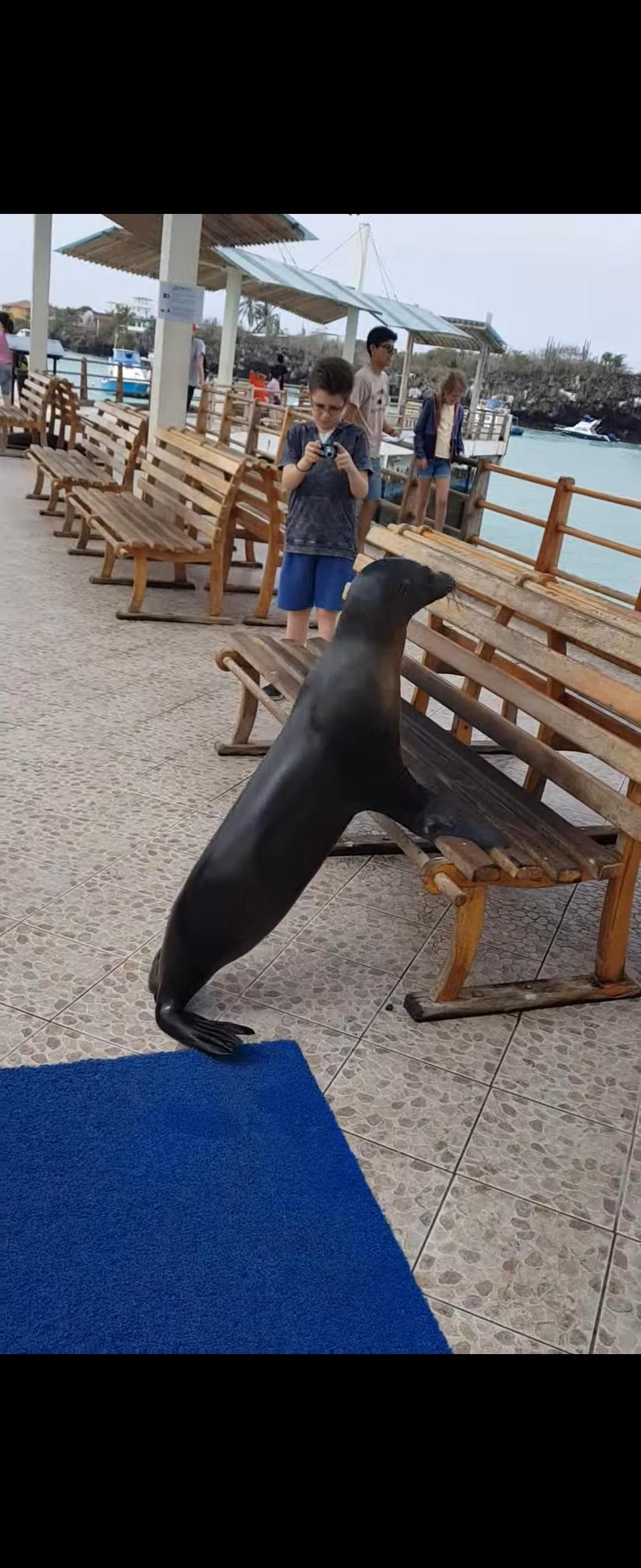 1번 째 사진